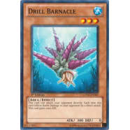 Drill Barnacle Thumb Nail