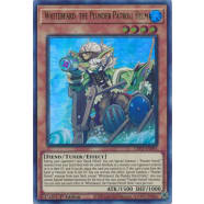 Whitebeard, the Plunder Patroll Helm Thumb Nail