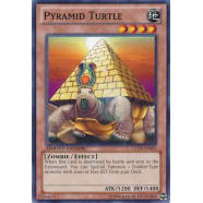 Pyramid Turtle Thumb Nail