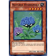 Naturia Hydrangea Thumb Nail