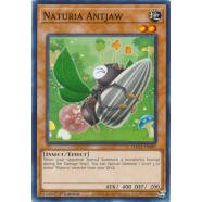 Naturia Antjaw Thumb Nail