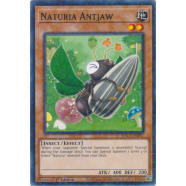 Naturia Antjaw Thumb Nail