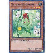 Naturia Rosewhip Thumb Nail