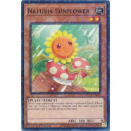 Naturia Sunflower Thumb Nail