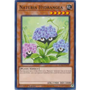Naturia Hydrangea Thumb Nail