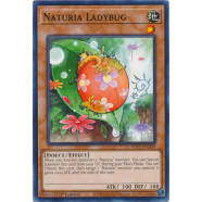 Naturia Ladybug Thumb Nail