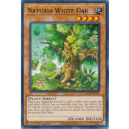 Naturia White Oak Thumb Nail