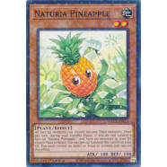 Naturia Pineapple Thumb Nail