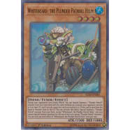 Whitebeard, the Plunder Patroll Helm Thumb Nail