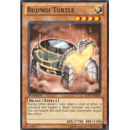 Bujingi Turtle Thumb Nail