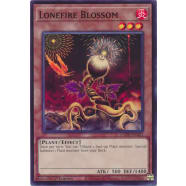 Lonefire Blossom Thumb Nail