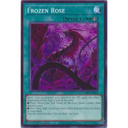 Frozen Rose Thumb Nail