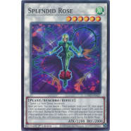 Splendid Rose Thumb Nail