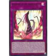 Blooming of the Darkest Rose Thumb Nail