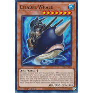 Citadel Whale Thumb Nail