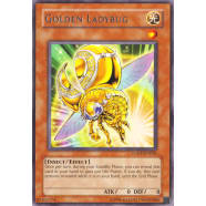 Golden Ladybug Thumb Nail