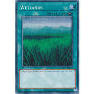 Wetlands (2020 Copyright Date) Thumb Nail