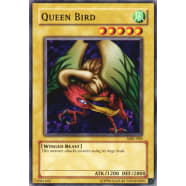 Queen Bird Thumb Nail