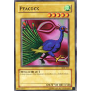 Peacock Thumb Nail