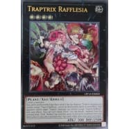 Traptrix Rafflesia Thumb Nail