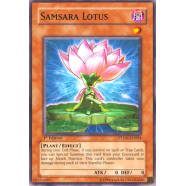 Samsara Lotus Thumb Nail