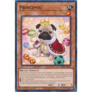 Principug Thumb Nail