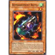 Bombardment Beetle Thumb Nail