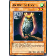 An Owl of Luck Thumb Nail