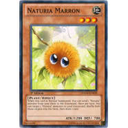 Naturia Marron Thumb Nail