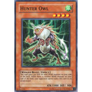 Hunter Owl Thumb Nail