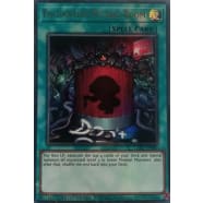 Enchanting Fitting Room Thumb Nail