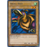 Droll Bird Thumb Nail