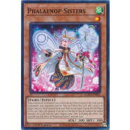 Phalaenop Sisters Thumb Nail