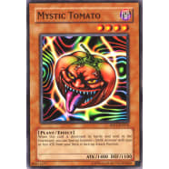 Mystic Tomato Thumb Nail