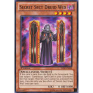 Secret Sect Druid Wid Thumb Nail