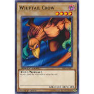 Whiptail Crow Thumb Nail