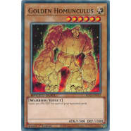 Golden Homunculus Thumb Nail