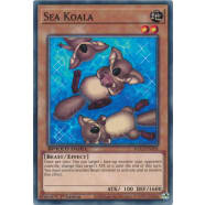 Sea Koala Thumb Nail