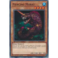 Piercing Moray Thumb Nail