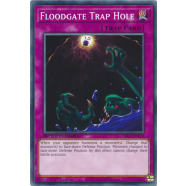 Floodgate Trap Hole Thumb Nail