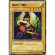 Queen Bird Thumb Nail