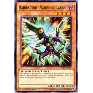 Raidraptor - Vanishing Lanius Thumb Nail