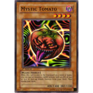 Mystic Tomato Thumb Nail