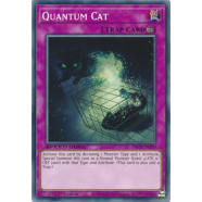 Quantum Cat Thumb Nail