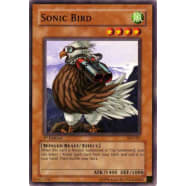 Sonic Bird Thumb Nail