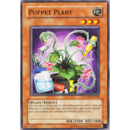 Puppet Plant Thumb Nail