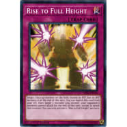 Rise to Full Height Thumb Nail