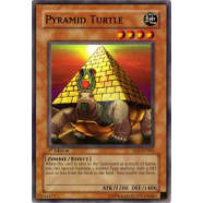 Pyramid Turtle Thumb Nail