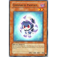 Chrysalis Pantail Thumb Nail