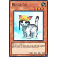 Rescue Cat Thumb Nail